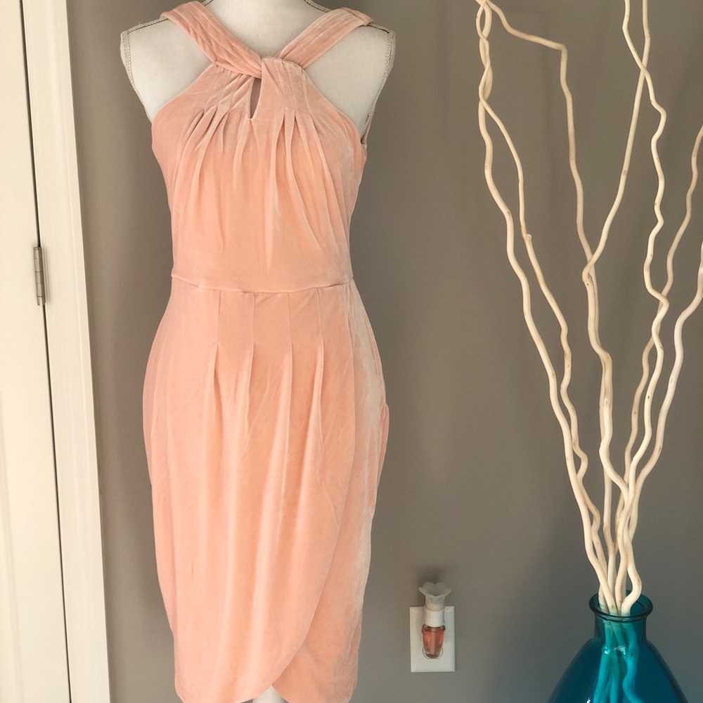 Cupcakes & Cashmere Pink Velvet Dress